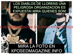 piZapTHUYRTURTURT6UY