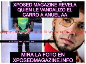 piZapWEFSDFVFGGVDFBDF