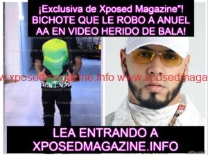 piZapTYIYIO8OY8OYIO8OL