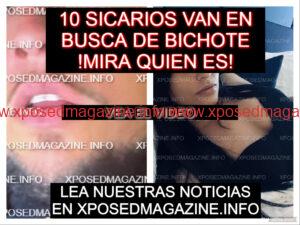 piZapUIIYUIUYIUYIUYI