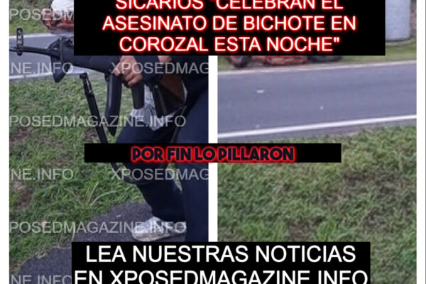 SICARIOS “CELEBRAN EL ASESINATO DE BICHOTE EN COROZAL ESTA NOCHE”