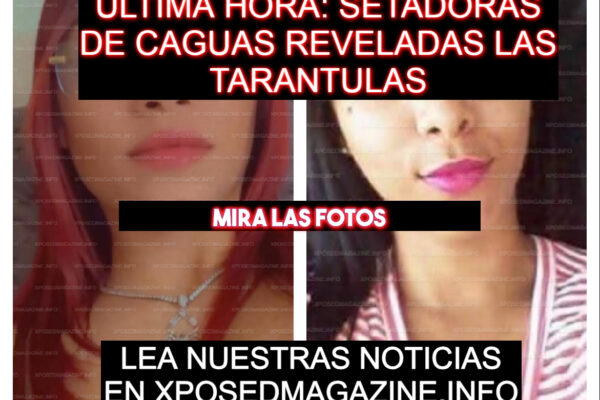 ULTIMA HORA: SETADORAS DE CAGUAS REVELADAS LAS TARANTULAS