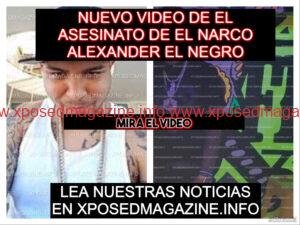 piZapUTYUJTUUUT5UTUTY