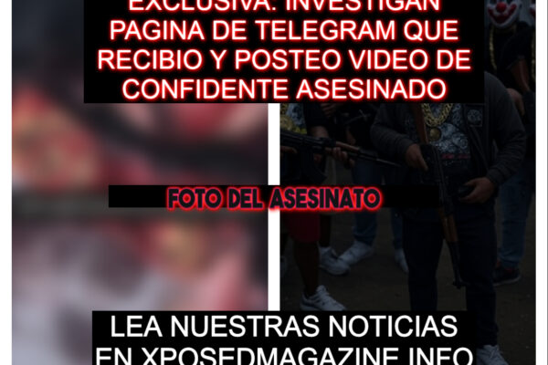 EXCLUSIVA: INVESTIGAN PAGINA DE TELEGRAM QUE RECIBIO Y POSTEO VIDEO DE CONFIDENTE ASESINADO