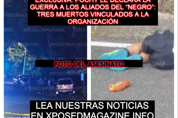 EXCLUSIVA: POCHY LE DECLARA LA GUERRA A LOS ALIADOS DEL “NEGRO”: TRES MUERTOS VINCULADOS A LA ORGANIZACIÓN