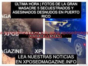 piZapERE3TERTYERTERT