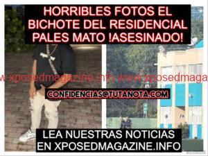 piZapJKUGKJGKJGKJGKJ