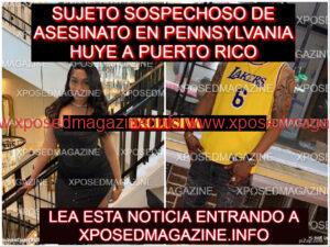 piZap354w5uy46y