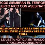 NARCOS SIEMBRAN EL TERROR EN PUERTO RICO CON ASESINATOS